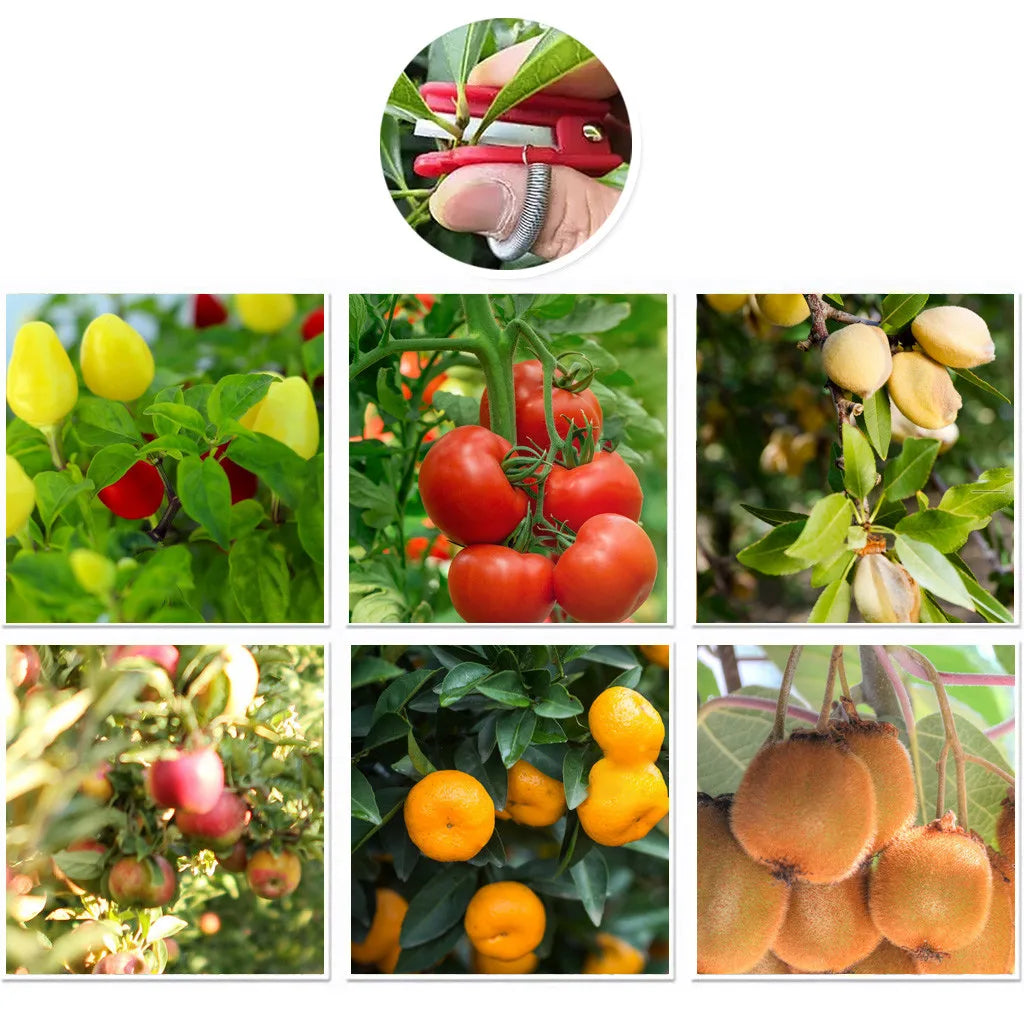 ThumbBlade™ Safe Fruit Picking Tool