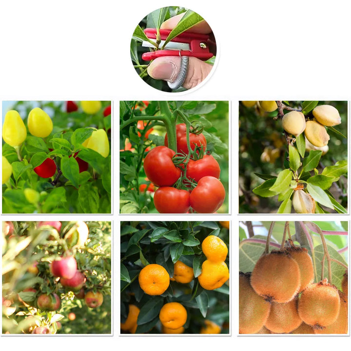 ThumbBlade™ Safe Fruit Picking Tool