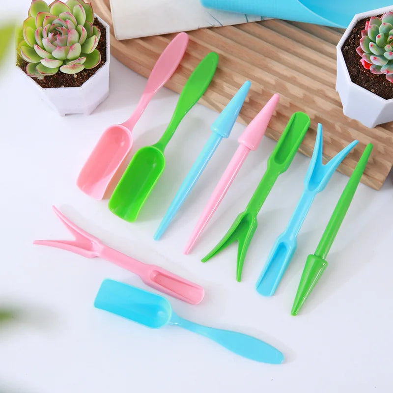 GreenThumb™ Sukkulenten- und Bonsai-Pflanzset