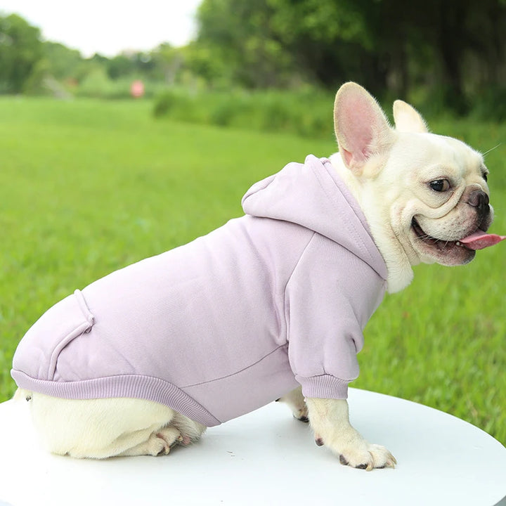 WarmPaws™ Herbst-Hundehoodie