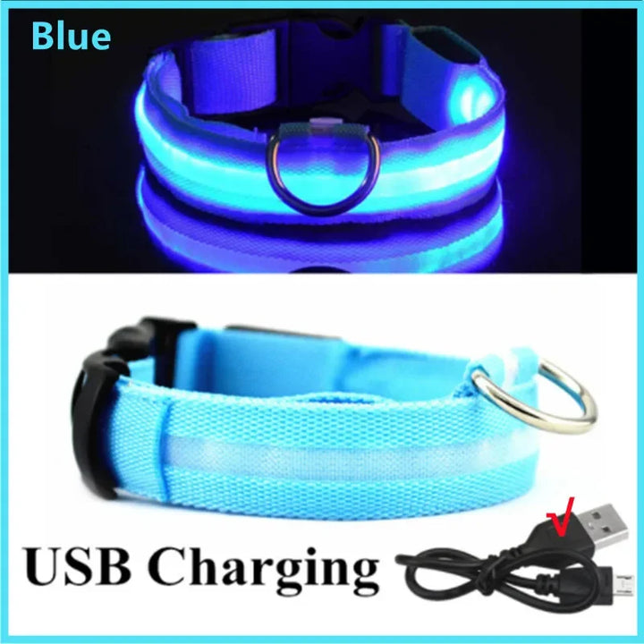 PetShine™ USB LED Glow Collar