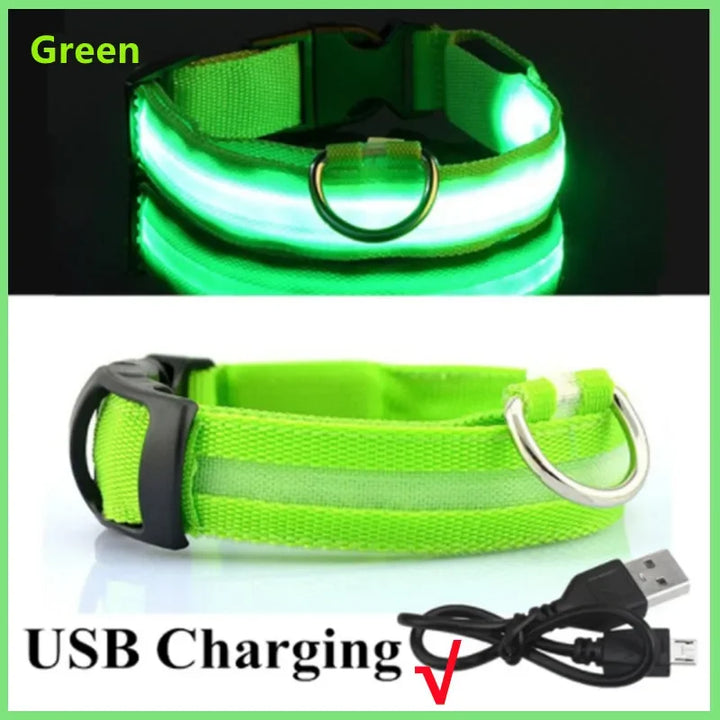 PetShine™ USB LED Glow Collar