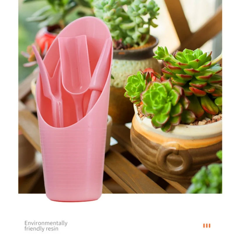 GreenThumb™ Sukkulenten- und Bonsai-Pflanzset