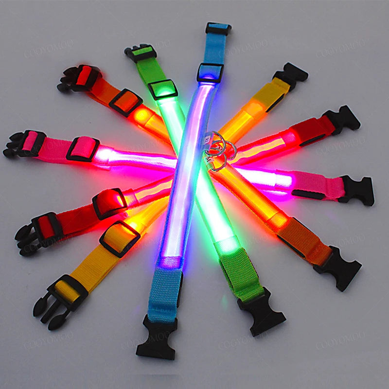 PetShine™ USB LED Glow Collar