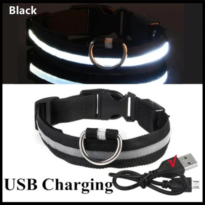 PetShine™ USB LED Glow Collar